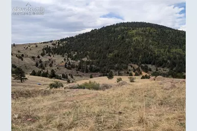 613 S 3rd Street, Victor, CO 80860 - Photo 8