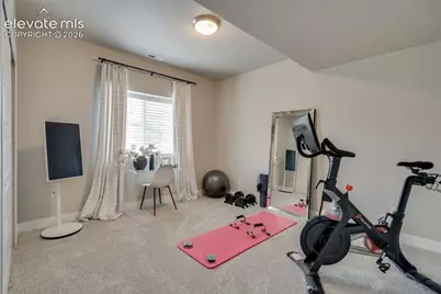 1005 Tree Bark Terrace, Monument, CO 80132 - Photo 40