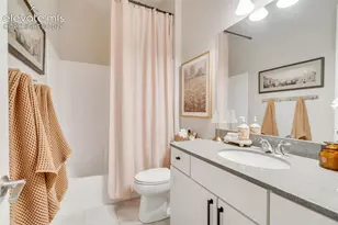 1005 Tree Bark Terrace, Monument, CO 80132 - Photo 28