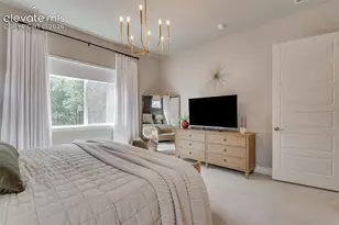 1005 Tree Bark Terrace, Monument, CO 80132 - Photo 18