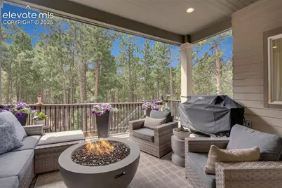 1005 Tree Bark Terrace, Monument, CO 80132 - Photo 6