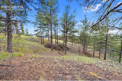 28 Pinnacle Circle, Florissant, CO 80816 - Photo 20