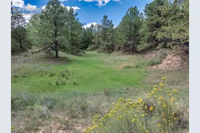 38 Coyote Trail, Canon City, CO 81212 - Photo 22