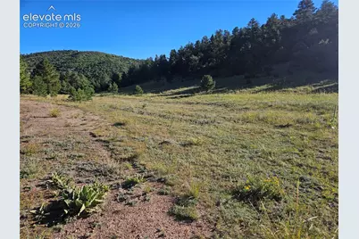 38 Coyote Trail, Canon City, CO 81212 - Photo 8