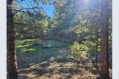 38 Coyote Trail, Canon City, CO 81212 - Photo 14