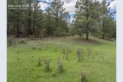 38 Coyote Trail, Canon City, CO 81212 - Photo 44