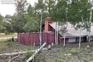 30 Brook Dr, Lake George, CO 80827 - Photo 8