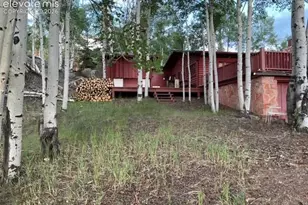 30 Brook Dr, Lake George, CO 80827 - Photo 6