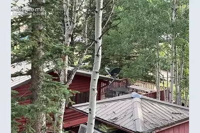 30 Brook Drive, Lake George, CO 80827 - Photo 10