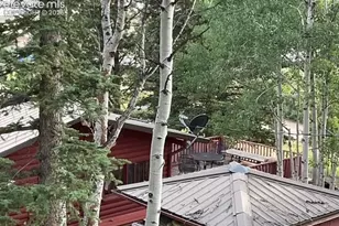 30 Brook Dr, Lake George, CO 80827 - Photo 10