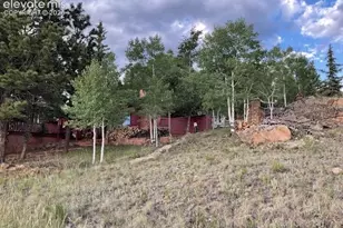 30 Brook Dr, Lake George, CO 80827 - Photo 12