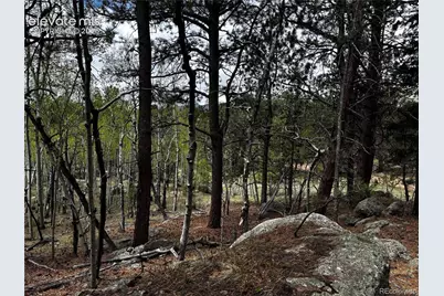 210 Crescent Drive, Florissant, CO 80816 - Photo 2