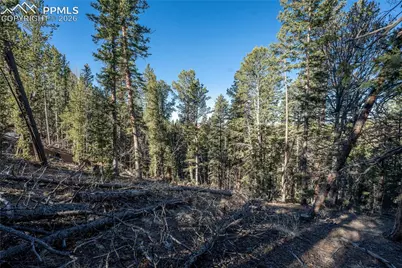 565 Fairview Drive, Cripple Creek, CO 80813 - Photo 10
