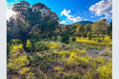 16116 Cala Rojo Drive, Colorado Springs, CO 80926 - Photo 4