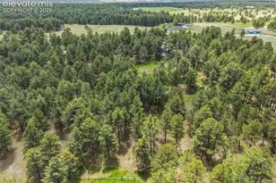 18440 Black Squirrel Rd, Colorado Springs, CO 80908 - Photo 44