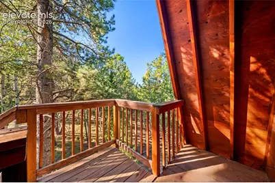 954 Timber Ridge Road, Divide, CO 80814 - Photo 10