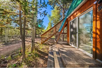 954 Timber Ridge Road, Divide, CO 80814 - Photo 12
