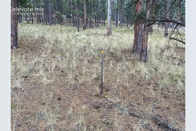 60 Pickens Road, Florissant, CO 80816 - Photo 2