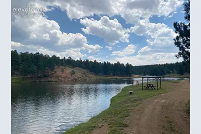 60 Pickens Road, Florissant, CO 80816 - Photo 14
