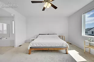 6848 Petunia Pl, Castle Rock, CO 80108 - Photo 8