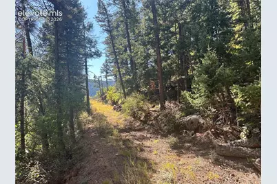 270 Upper Sun Valley Road, Manitou Springs, CO 80829 - Photo 10