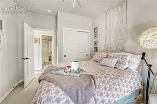 4562 Horse Gulch Loop, Colorado Springs, CO 80924 - Photo 26