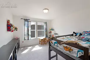 6035 White Wolf Pt, Colorado Springs, CO 80925 - Photo 22
