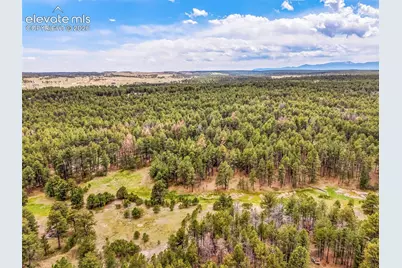 10655 Hardy Road, Colorado Springs, CO 80908 - Photo 24
