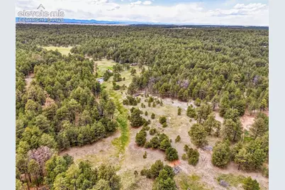 10655 Hardy Road, Colorado Springs, CO 80908 - Photo 28