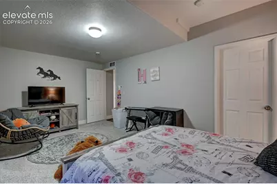 11101 Birch Hollow Way, Peyton, CO 80831 - Photo 44