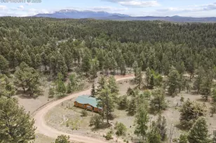 4687 W Highway 24, Florissant, CO 80816 - Photo 34