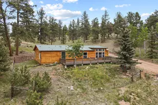 4687 W Highway 24, Florissant, CO 80816 - Photo 30
