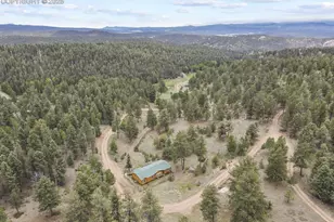 4687 W Highway 24, Florissant, CO 80816 - Photo 36