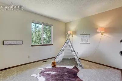 975 Royal Crown Lane, Colorado Springs, CO 80906 - Photo 28