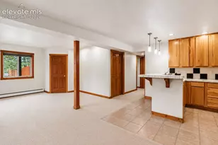 1280 Chippewa Trail, Woodland Park, CO 80863 - Photo 20