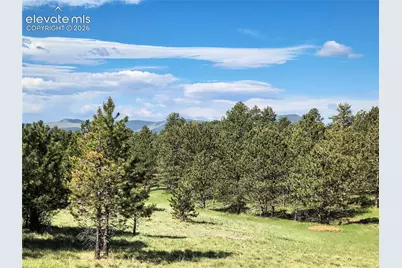 314 Arrowhead Drive, Florissant, CO 80816 - Photo 6