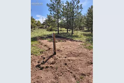 314 Arrowhead Drive, Florissant, CO 80816 - Photo 26