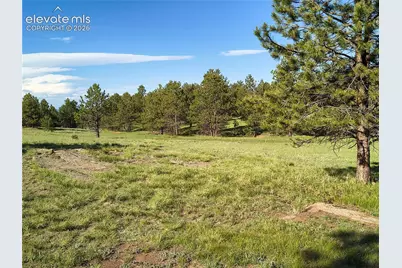 314 Arrowhead Drive, Florissant, CO 80816 - Photo 18