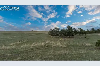 11516 Bison Meadows Court, Colorado Springs, CO 80908 - Photo 10