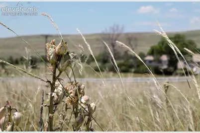 Tract 11 McClelland Road, Calhan, CO 80808 - Photo 4