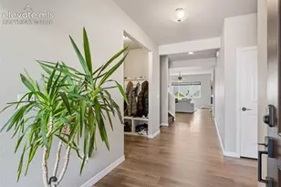6987 Fauna Glen Dr, Colorado Springs, CO 80927 - Photo 12