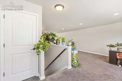 6987 Fauna Glen Drive, Colorado Springs, CO 80927 - Photo 24