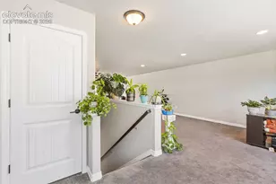6987 Fauna Glen Dr, Colorado Springs, CO 80927 - Photo 24