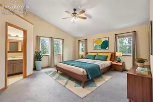 145 Grizzley Peak Rd, Florissant, CO 80816 - Photo 12