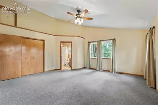 145 Grizzley Peak Rd, Florissant, CO 80816 - Photo 16