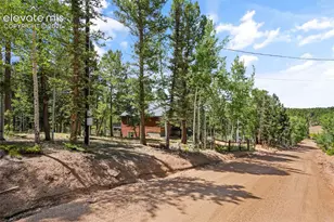 145 Grizzley Peak Rd, Florissant, CO 80816 - Photo 50