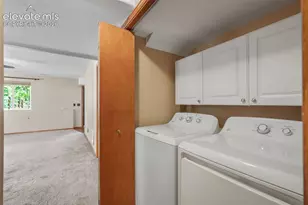 145 Grizzley Peak Rd, Florissant, CO 80816 - Photo 36