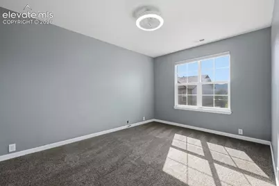 996 Burning Bush Point, Monument, CO 80132 - Photo 20