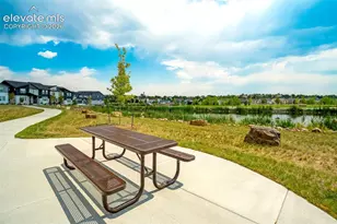 3563 Mission Bay Ct, Colorado Springs, CO 80922 - Photo 48