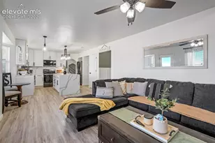 10065 Litchfield St, Peyton, CO 80831 - Photo 20